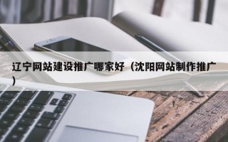 辽宁网站建设推广哪家好（沈阳网站制作推广）