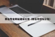邢台专业网站建设立项（邢台市招标公告）