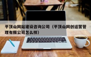 平顶山网站建设咨询公司（平顶山网创运营管理有限公司怎么样）