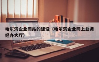 哈尔滨企业网站的建设（哈尔滨企业网上业务经办大厅）