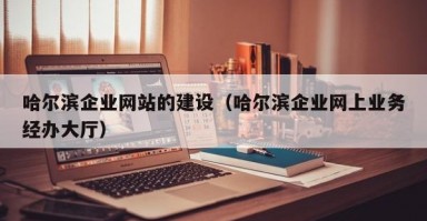哈尔滨企业网站的建设（哈尔滨企业网上业务经办大厅）