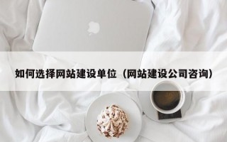 如何选择网站建设单位（网站建设公司咨询）