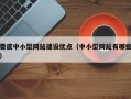 娄底中小型网站建设优点（中小型网站有哪些）