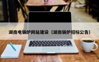 湖南电锅炉网站建设（湖南锅炉招标公告）