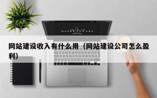 网站建设收入有什么用（网站建设公司怎么盈利）