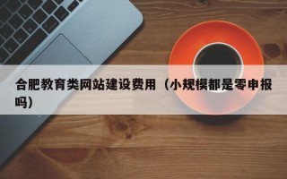 合肥教育类网站建设费用（小规模都是零申报吗）