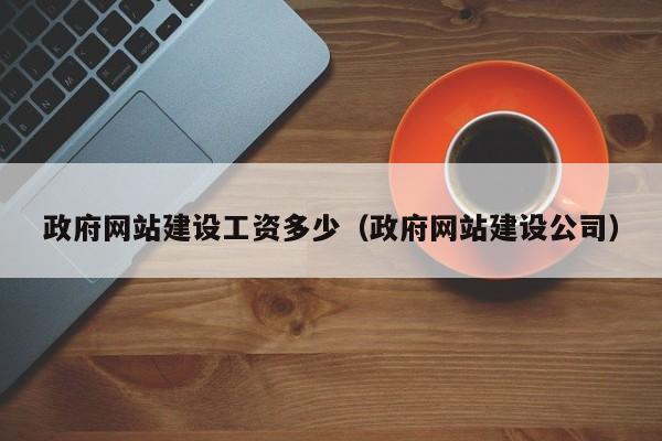 政府网站建设工资多少(政府网站建设公司)