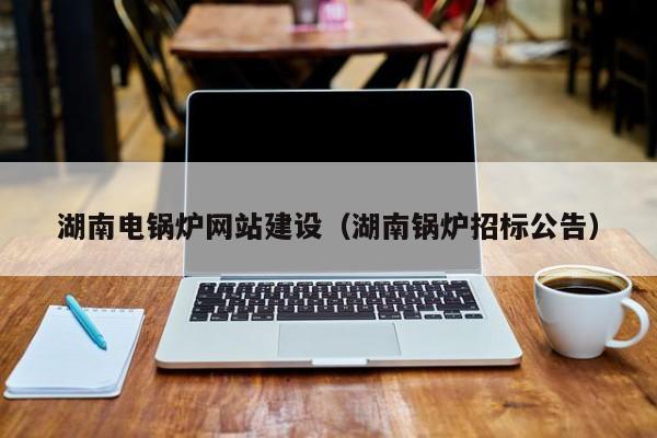湖南电锅炉网站建设(湖南锅炉招标公告)