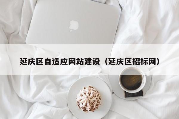 延庆区自适应网站建设(延庆区招标网)