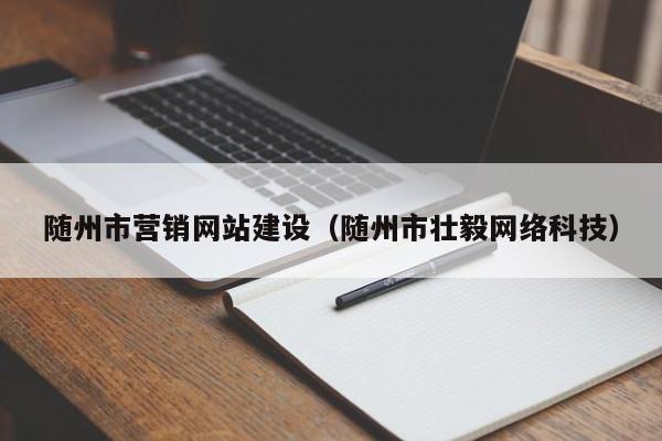 随州市营销网站建设(随州市壮毅网络科技)